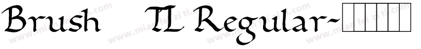 Brush445TL Regular字体转换
